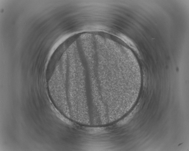 X0000060791192200512082116