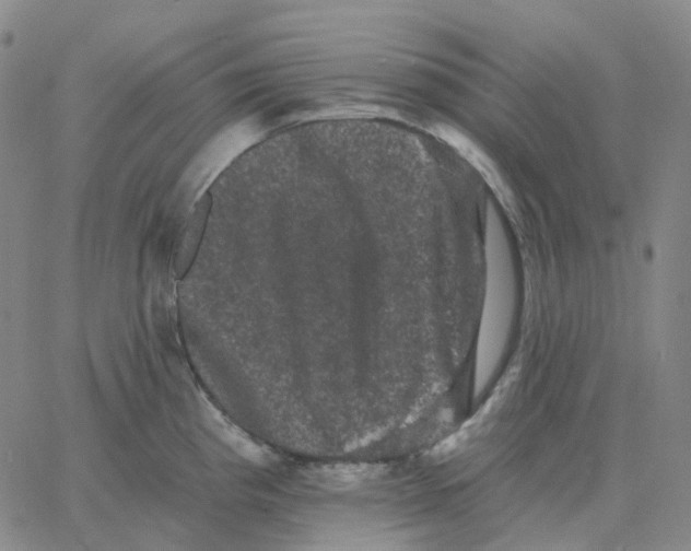 X0000060791193200512082116