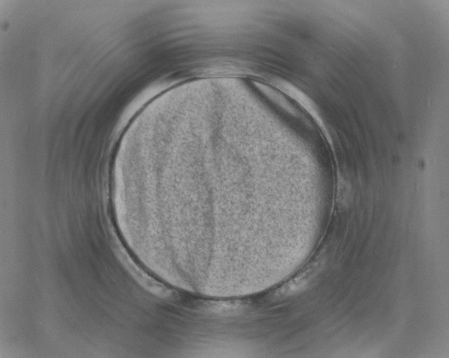 X0000060791195200512082116