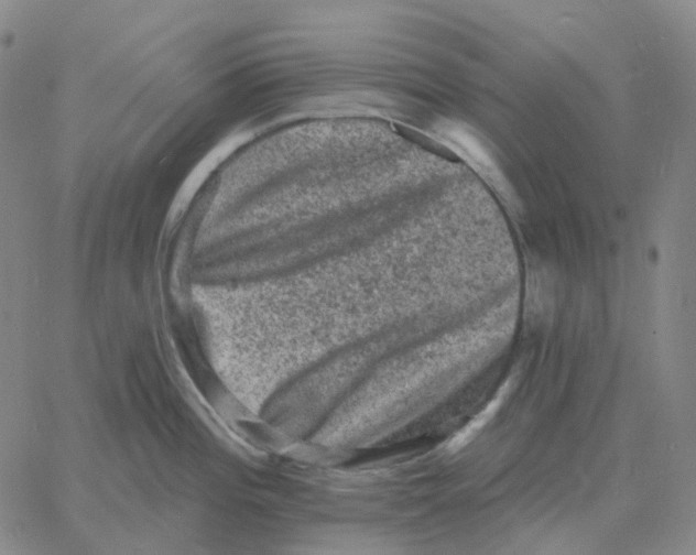 X0000060791196200512082116