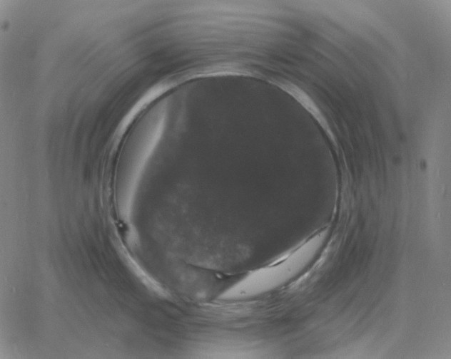 X0000060791197200512082116