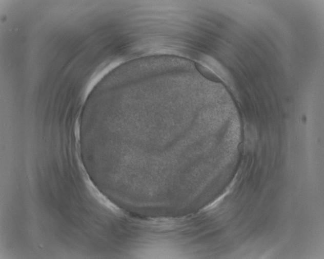 X0000060791198200512082116