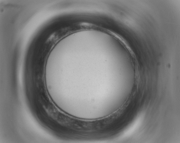 X0000060791199200512082116