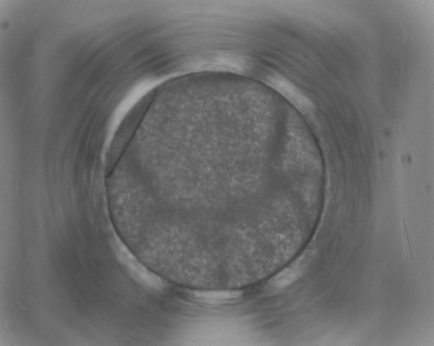 X0000060791200200512082116