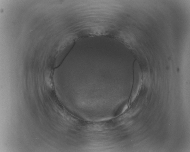 X0000060791202200512082115