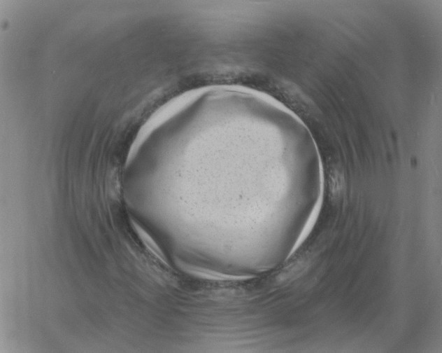 X0000060791204200512082115