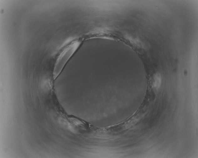 X0000060791206200512082115