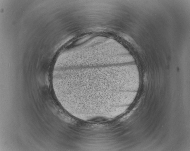 X0000060791209200512082115