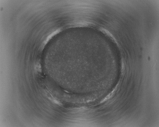 X0000060791210200512082115