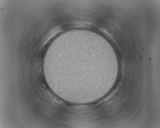 X0000060791211200512082115