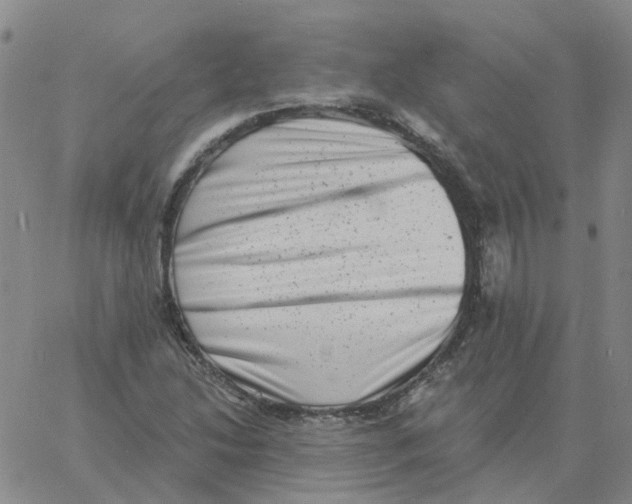 X0000060791214200512082115