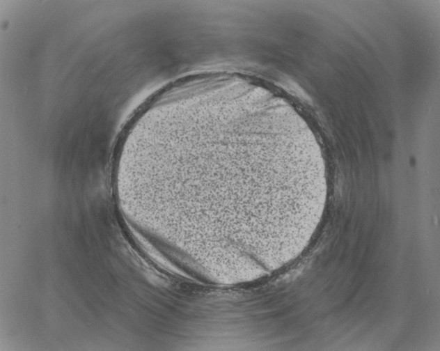 X0000060791216200512082115