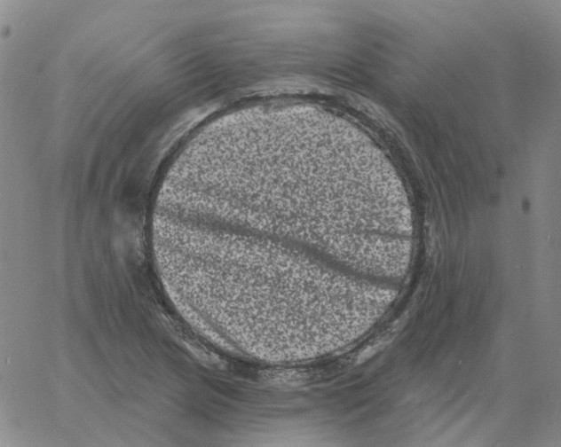 X0000060791217200512082115