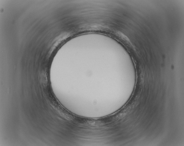 X0000060791218200512082115