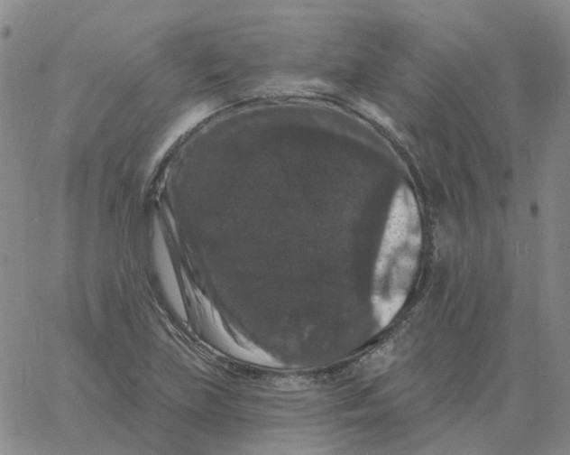 X0000060791219200512082116