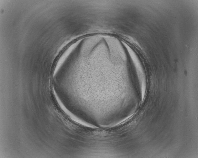 X0000060791220200512082116