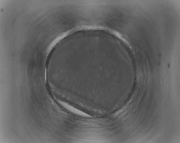 X0000060791221200512082116