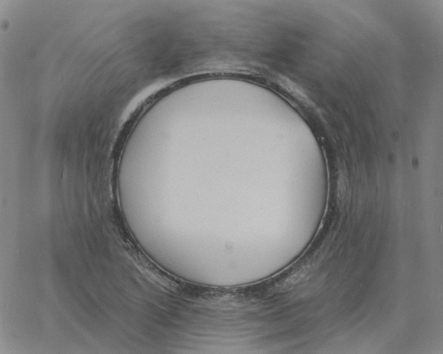 X0000060791222200512082116