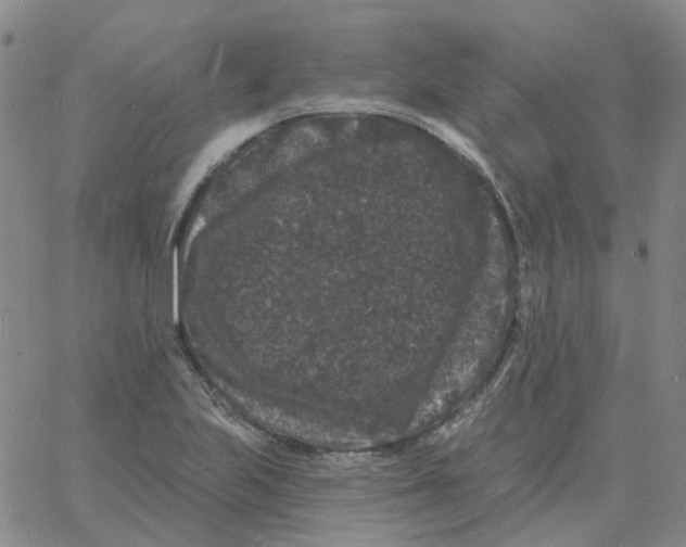 X0000060791223200512082116