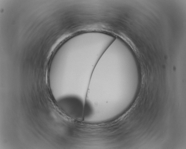 X0000060791224200512082116