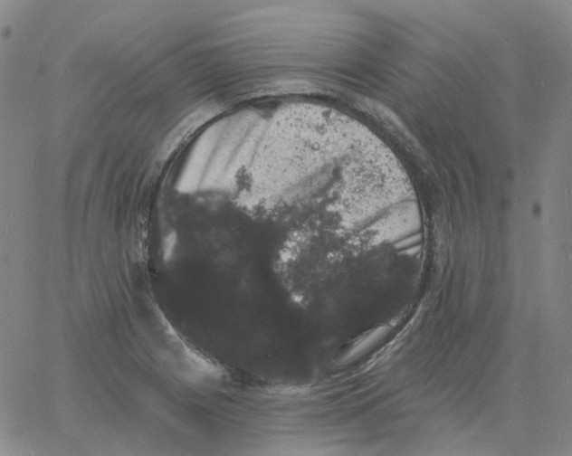 X0000060791225200512082116