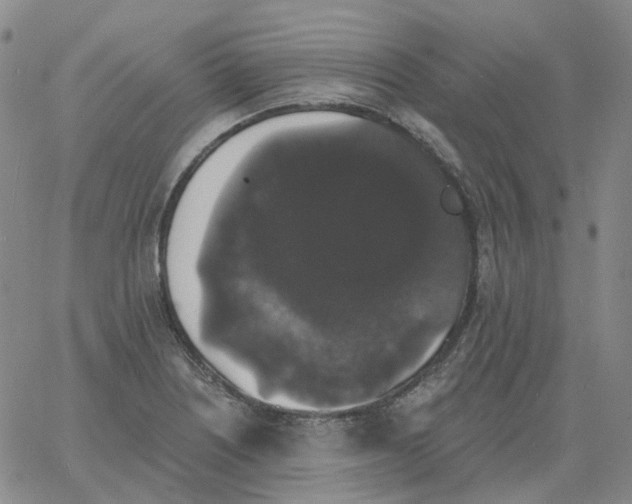 X0000060791226200512082116