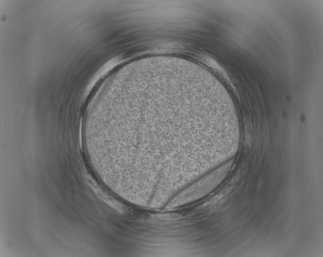 X0000060791227200512082116