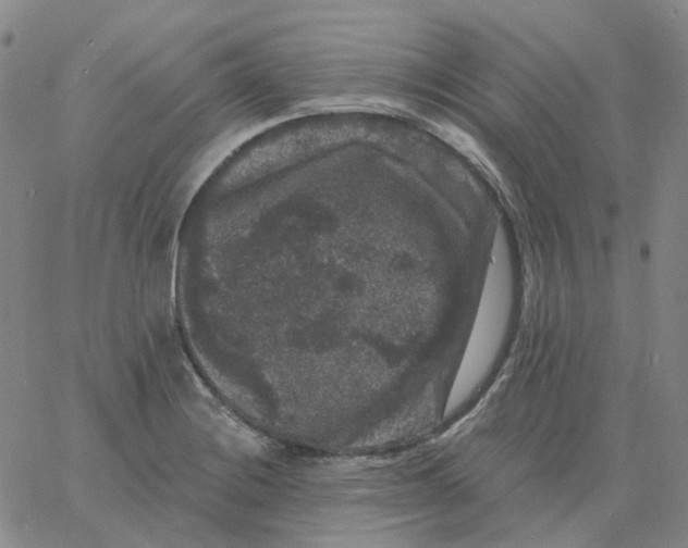 X0000060791228200512082116