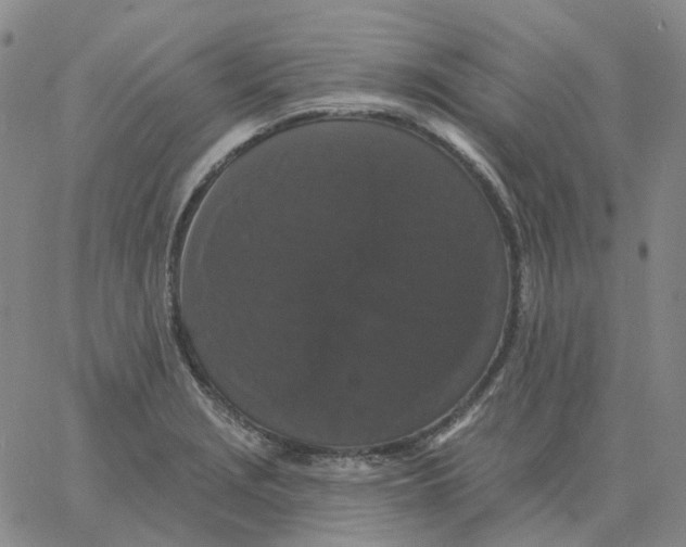 X0000060791229200512082116