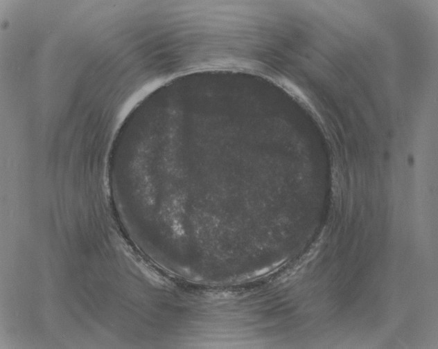 X0000060791230200512082116