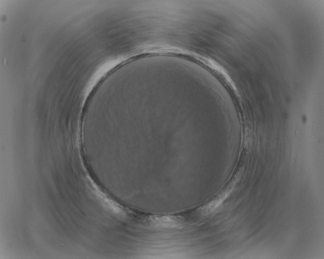 X0000060791231200512082116