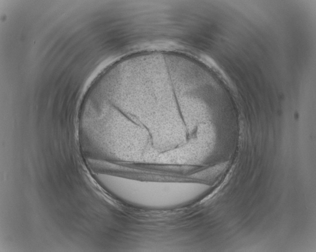 X0000060791232200512082116