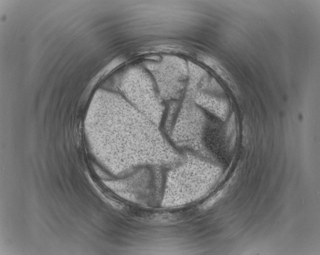 X0000060791233200512082116