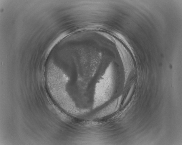 X0000060791235200512082116