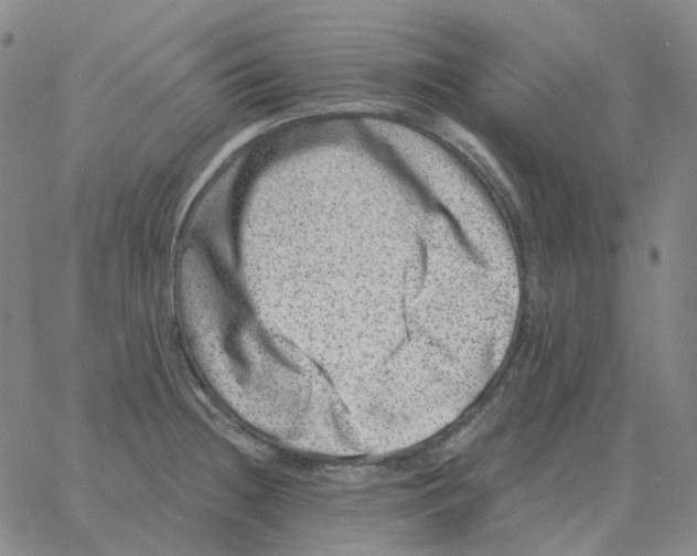 X0000060791236200512082116