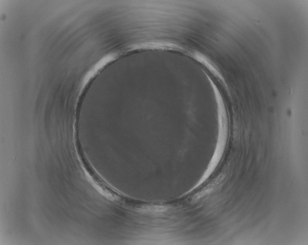 X0000060791237200512082116