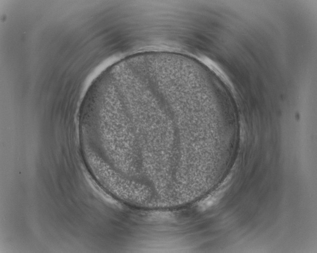 X0000060791238200512082116