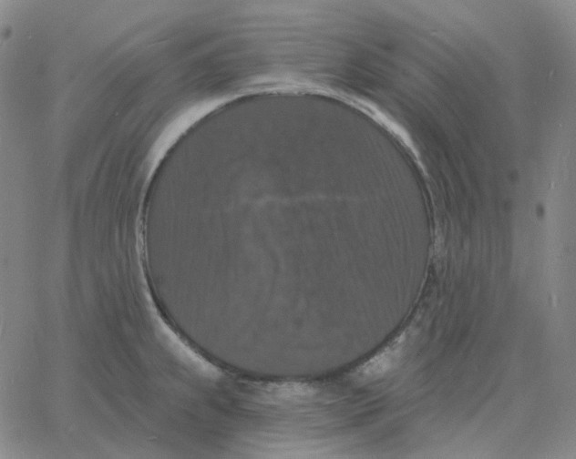 X0000060791239200512082116