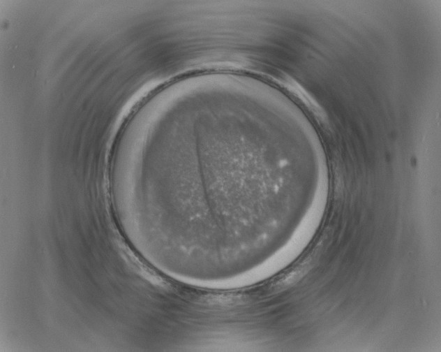 X0000060791240200512082116