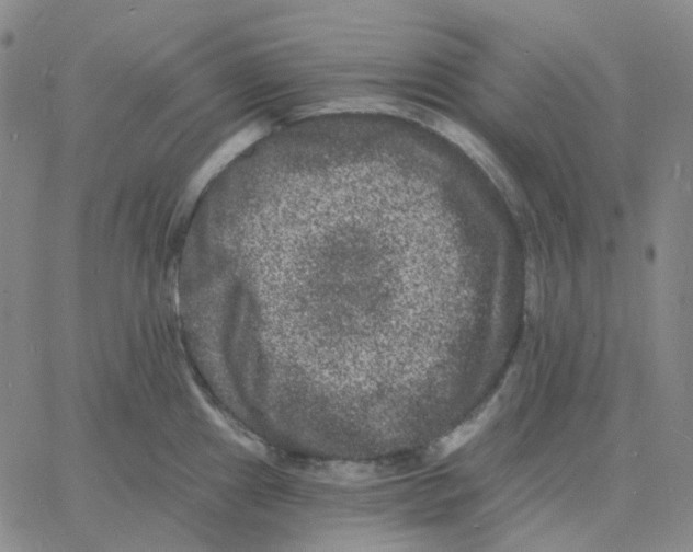 X0000060791241200512082116