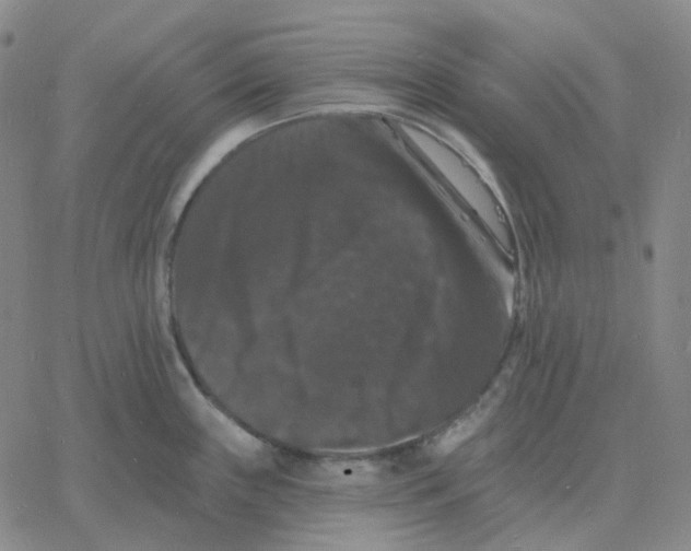 X0000060791243200512082116