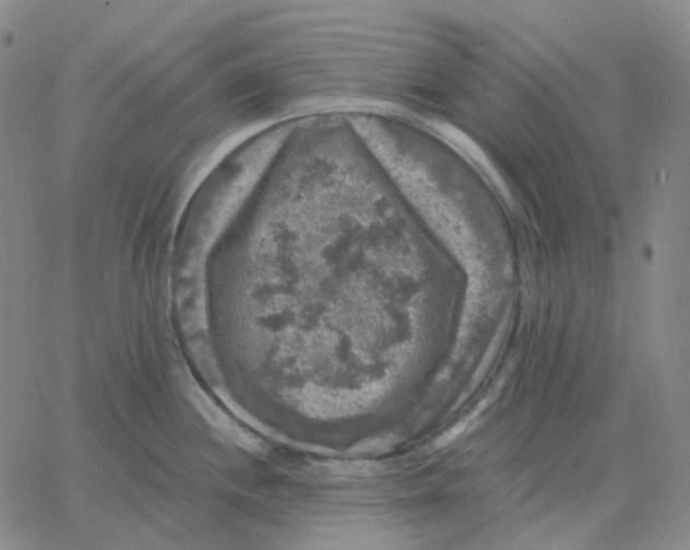 X0000060791244200512082116