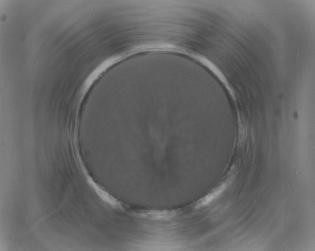 X0000060791245200512082116