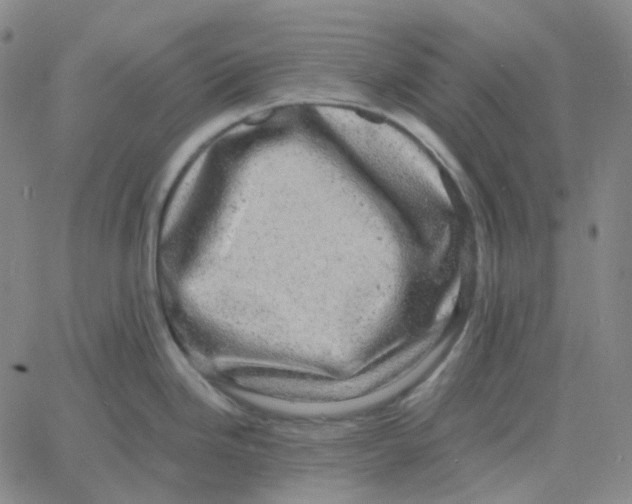 X0000060791246200512082116