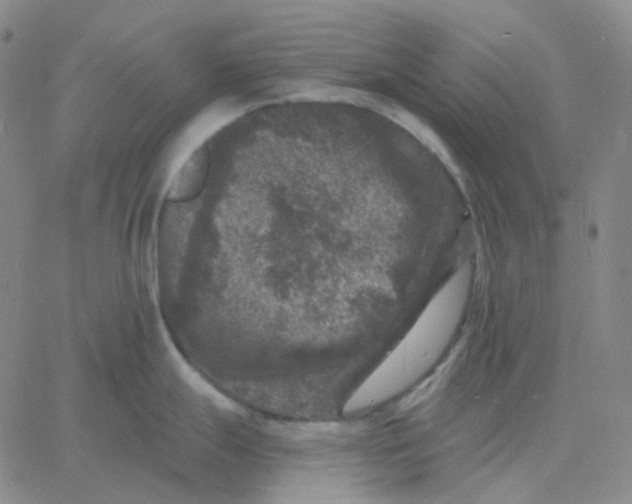 X0000060791247200512082116