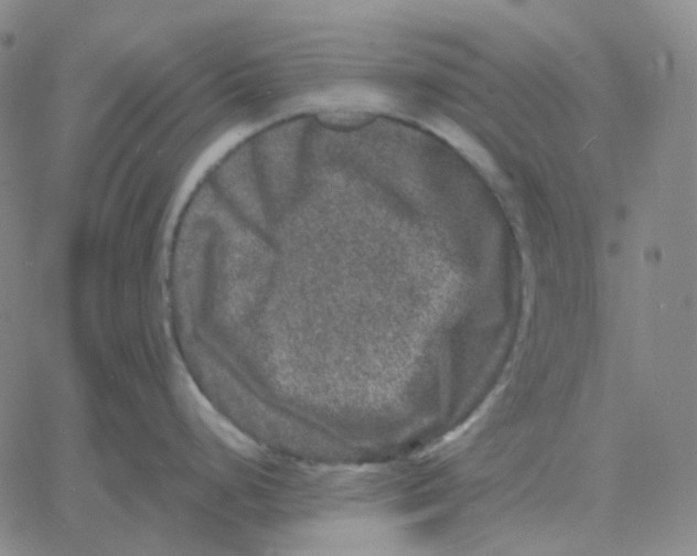 X0000060791248200512082116