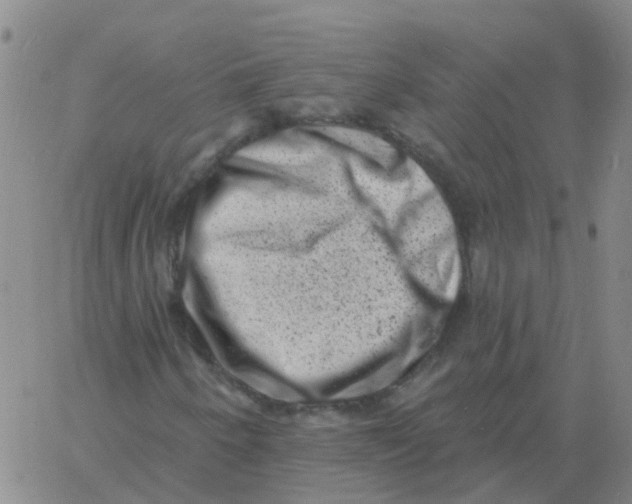 X0000060791250200512082115