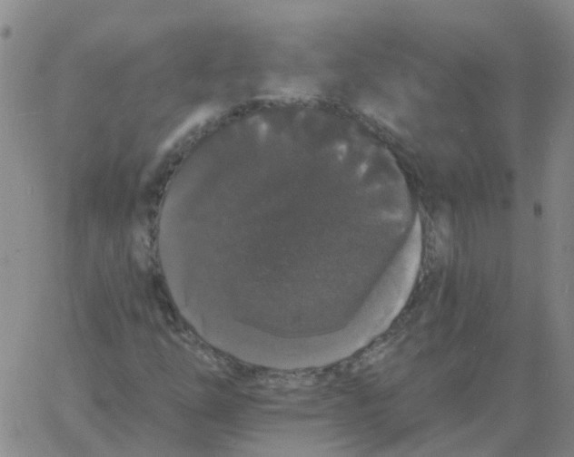 X0000060791254200512082115