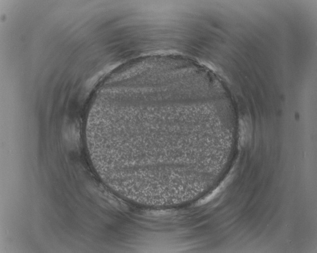 X0000060791257200512082115