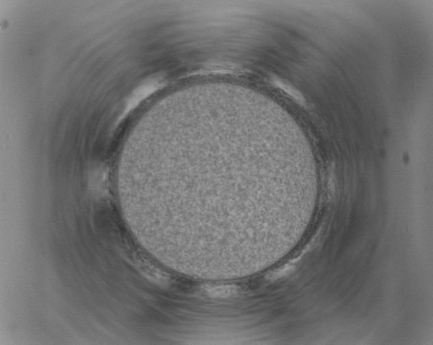 X0000060791258200512082115